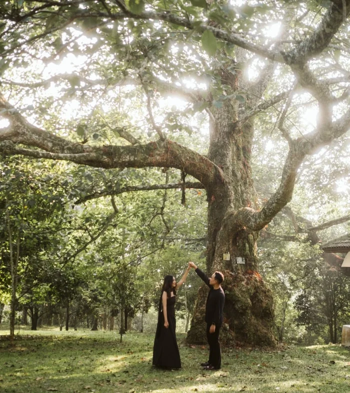 Stephanie & Arya, prewedding session in Cibodas